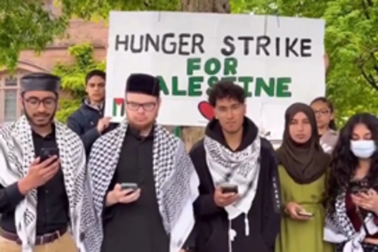Princeton University students launch hunger strike in solidarity with Gaza