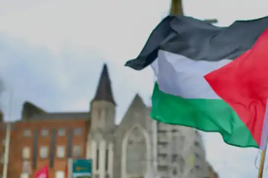 أيرلندا: "يمكن أننا سنعترف بفلسطين كدولة خلال هذا الشهر"