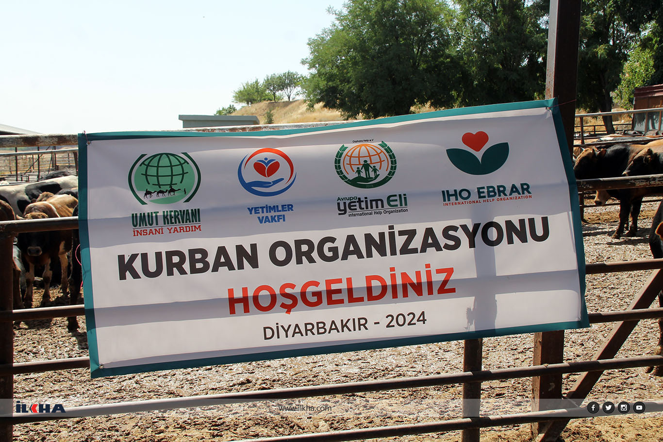 Diyarbakır'da binlerce aileye IHO EBRAR, kurban eti dağıtacak