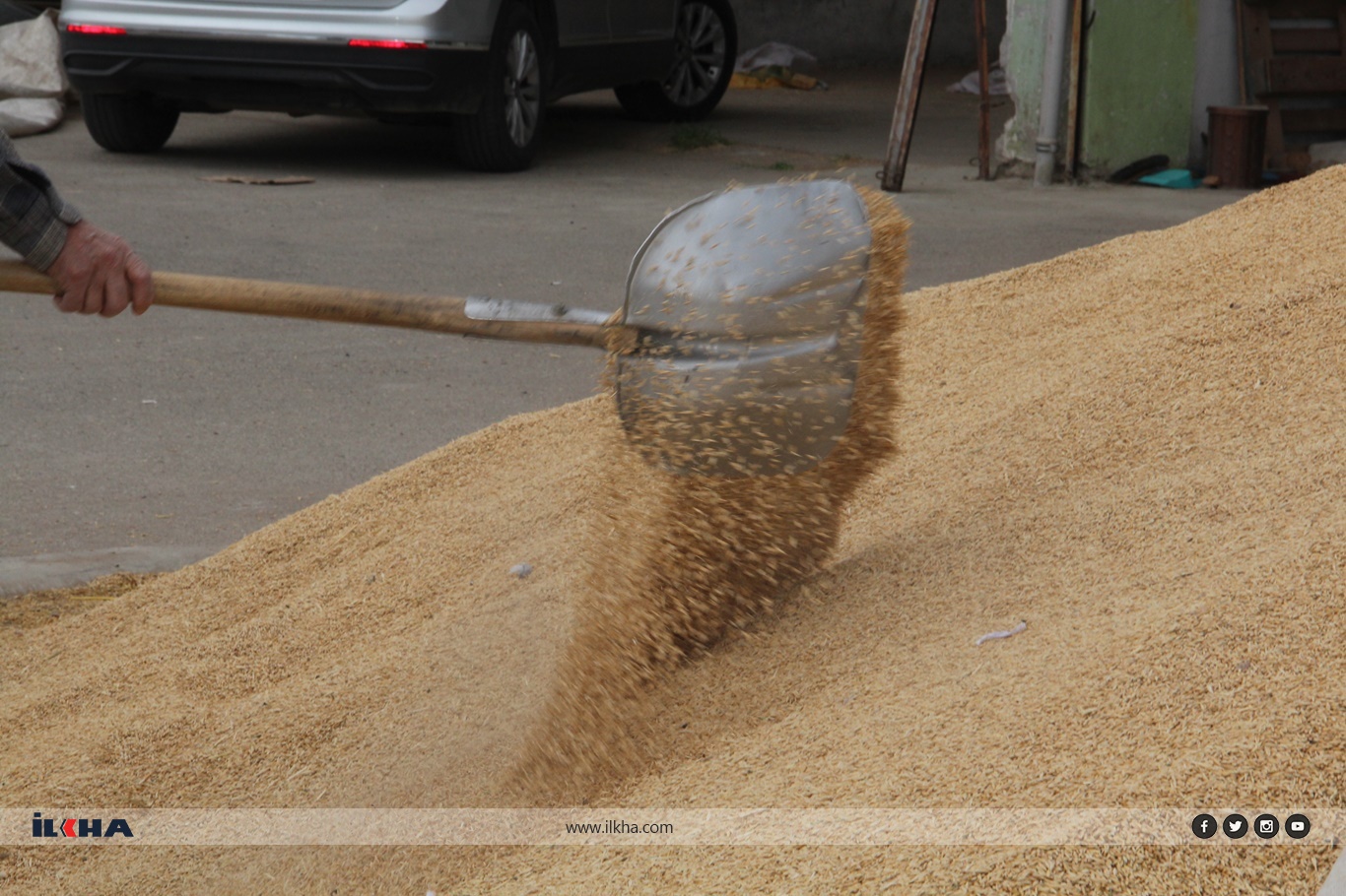 Hububatçılar sezonu bekliyor, gözler fiyat açıklamasında