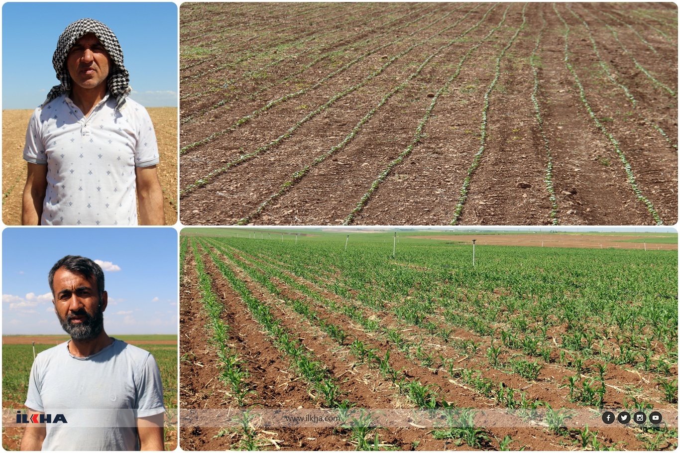 Çiftçiler: "Güneydoğu Anadolu Projesi acilen hayata geçirilsin"