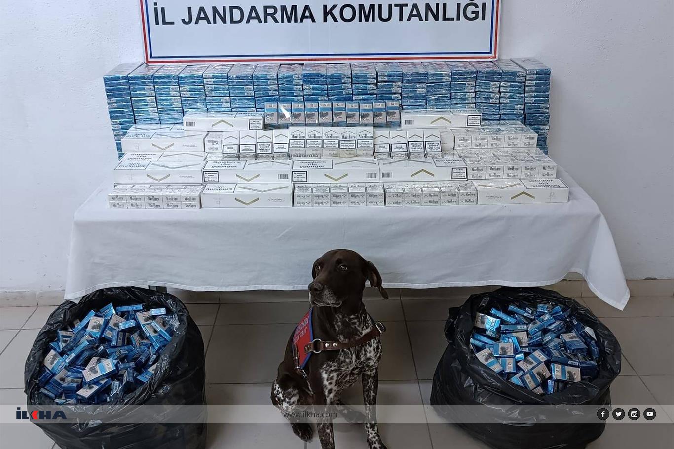 Kaçak mazot ve sigara taşıyan 3 tır şoförü gözaltına alındı Kaçak mazot ve sigara taşıyan 3 tır şoförü gözaltına alındı