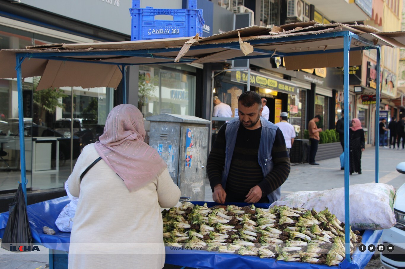 Şifa deposu kenger tezgahlardaki yerini aldı Şifa deposu kenger tezgahlardaki yerini aldı