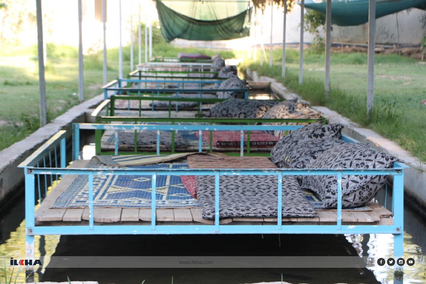 Sıcaklardan bunalanların uğrak yeri: Ğurs Vadisi