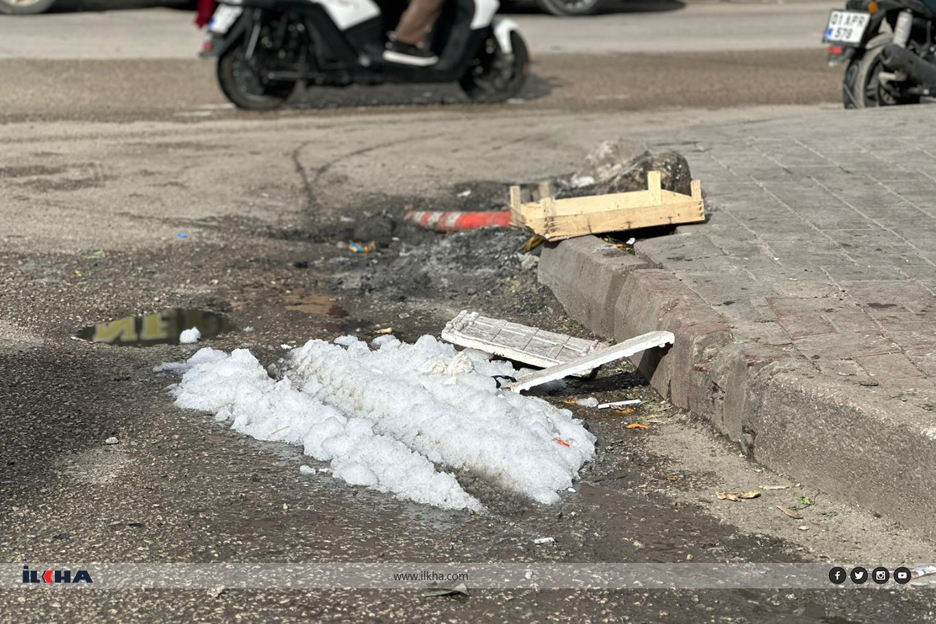 Adanalı balıkçı esnafı: Sorunlarımızın çözülmesi için yetkililerden yardım bekliyoruz