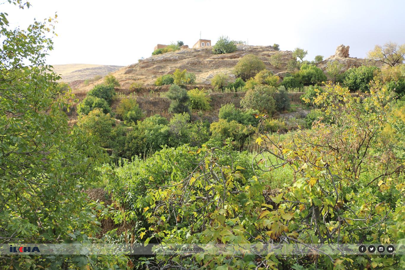 Sıcaklardan bunalanların uğrak yeri: Ğurs Vadisi