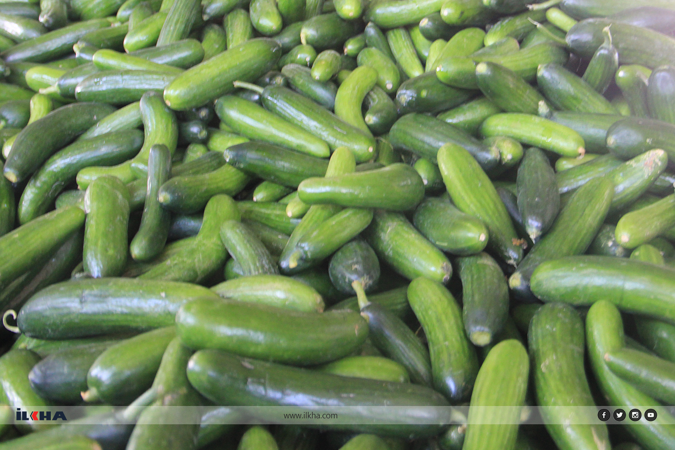 Pazarcı esnafı: Hem biz hem de vatandaş mağdur