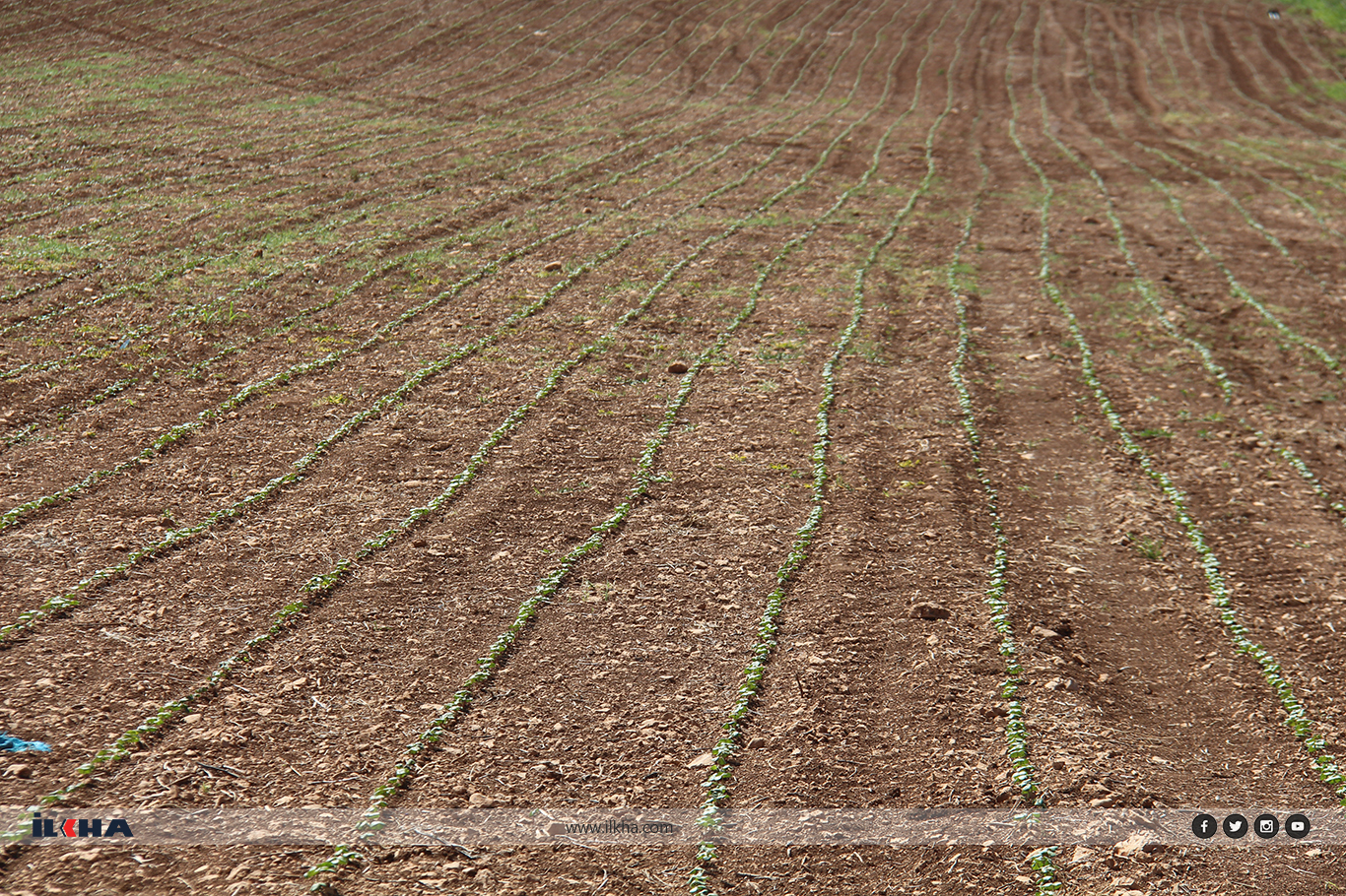 Çiftçiler: "Güneydoğu Anadolu Projesi acilen hayata geçirilsin"