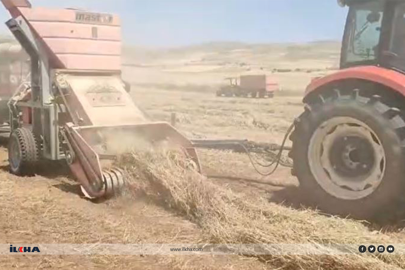 Elazığ Ovası’nda 2025 yılı fiğ hasadı başladı Elazığ Ovası’nda 2025 yılı fiğ hasadı başladı