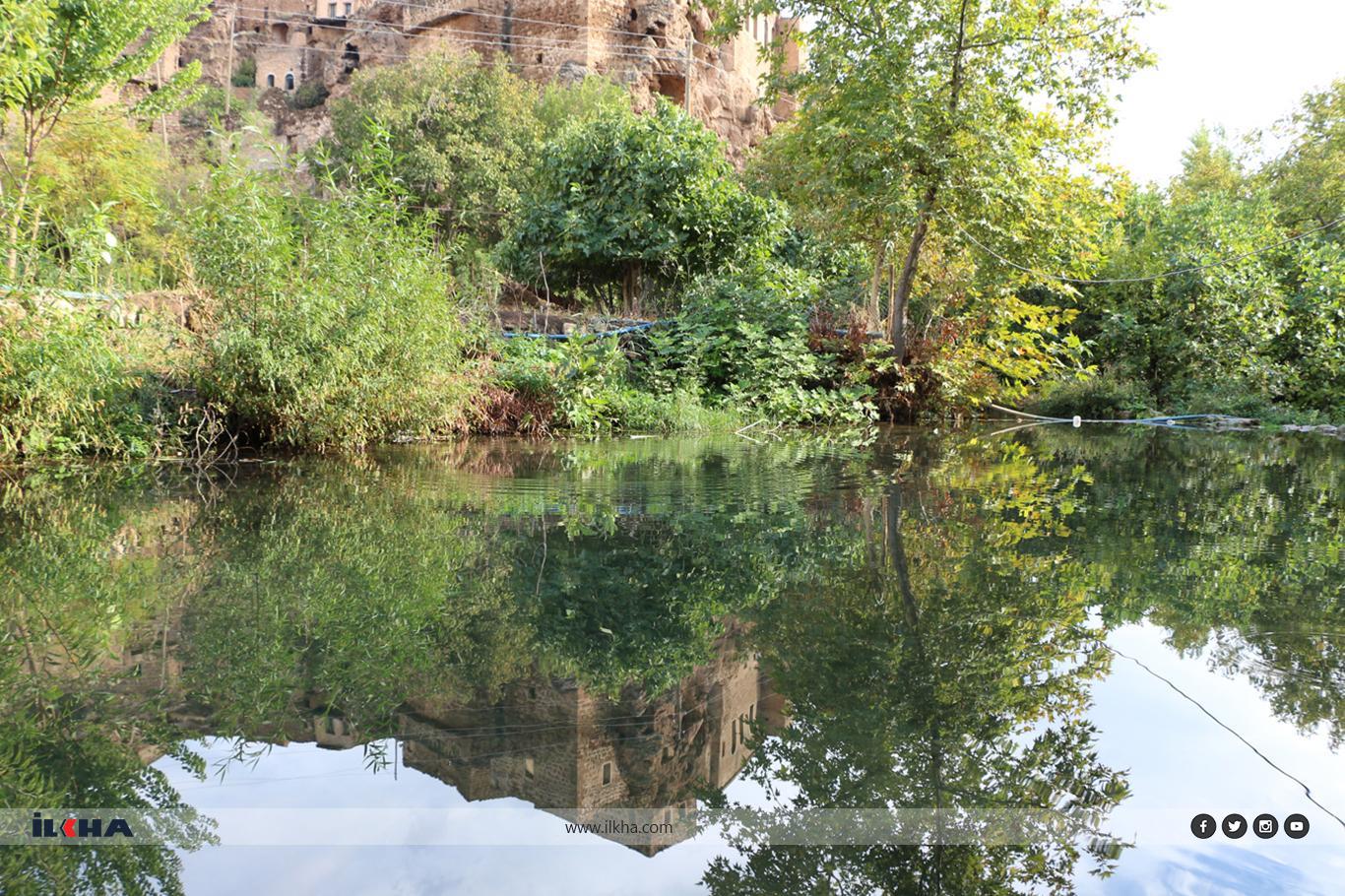 Sıcaklardan bunalanların uğrak yeri: Ğurs Vadisi