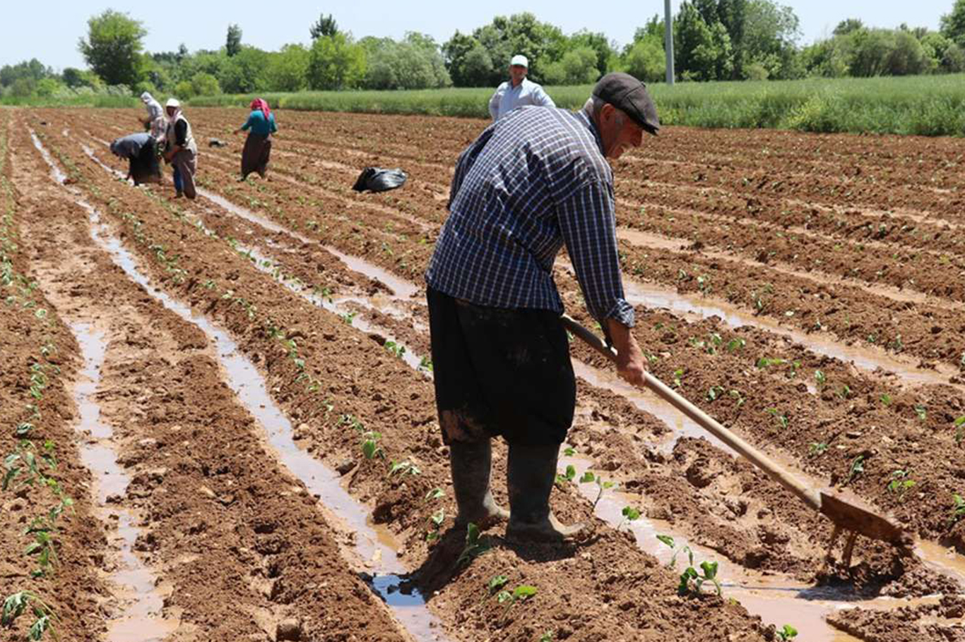 Tarım arazilerindeki projelere yüzde 75'e varan hibe desteği verilecek Tarım arazilerindeki projelere yüzde 75'e varan hibe desteği verilecek