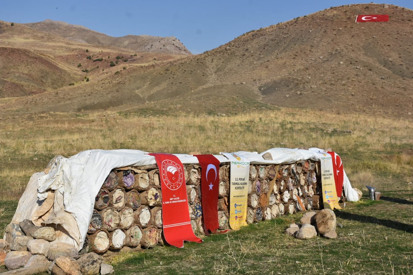Siirt’te Çemikari Yaylası’nda bal hasadı yapıldı Siirt’te Çemikari Yaylası’nda bal hasadı yapıldı