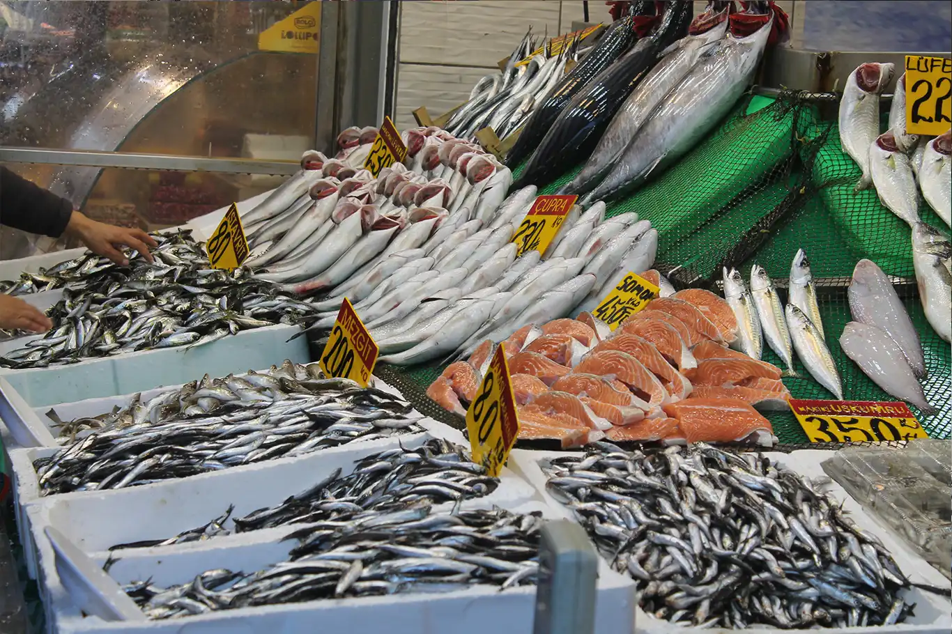 Hamsi ve istavritin fiyatı düştü Hamsi ve istavritin fiyatı düştü