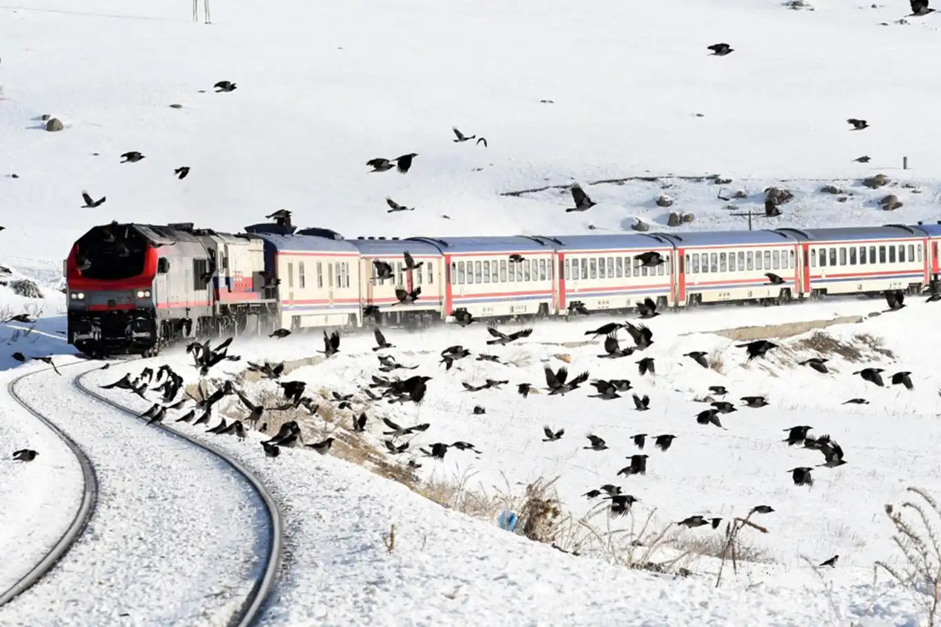 Demiryolu ile 1 milyon 142 bin 142 engelli yolcu seyahat etti Demiryolu ile 1 milyon 142 bin 142 engelli yolcu seyahat etti