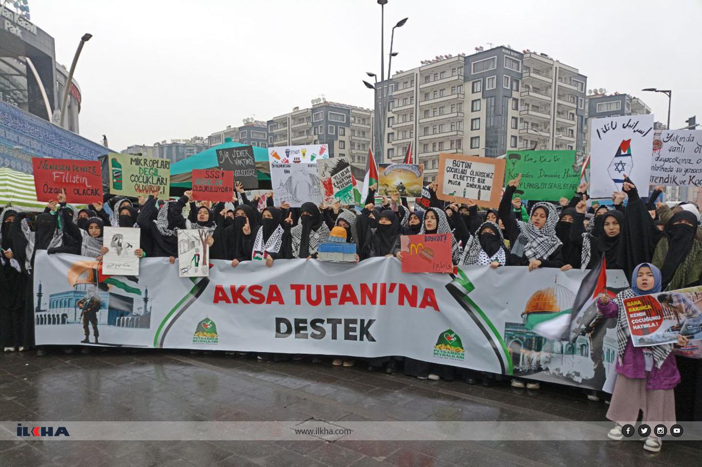 Thousands express solidarity with Gaza in Diyarbakır rally Thousands express solidarity with Gaza in Diyarbakır rally