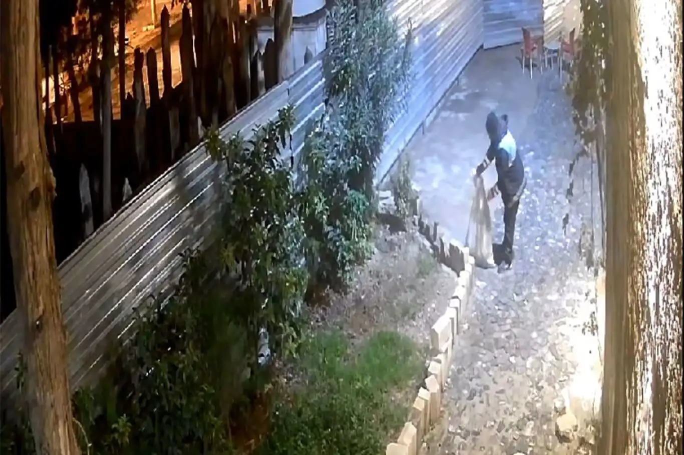 Kedileri torbaya koyup cami avlusuna bıraktı Kedileri torbaya koyup cami avlusuna bıraktı