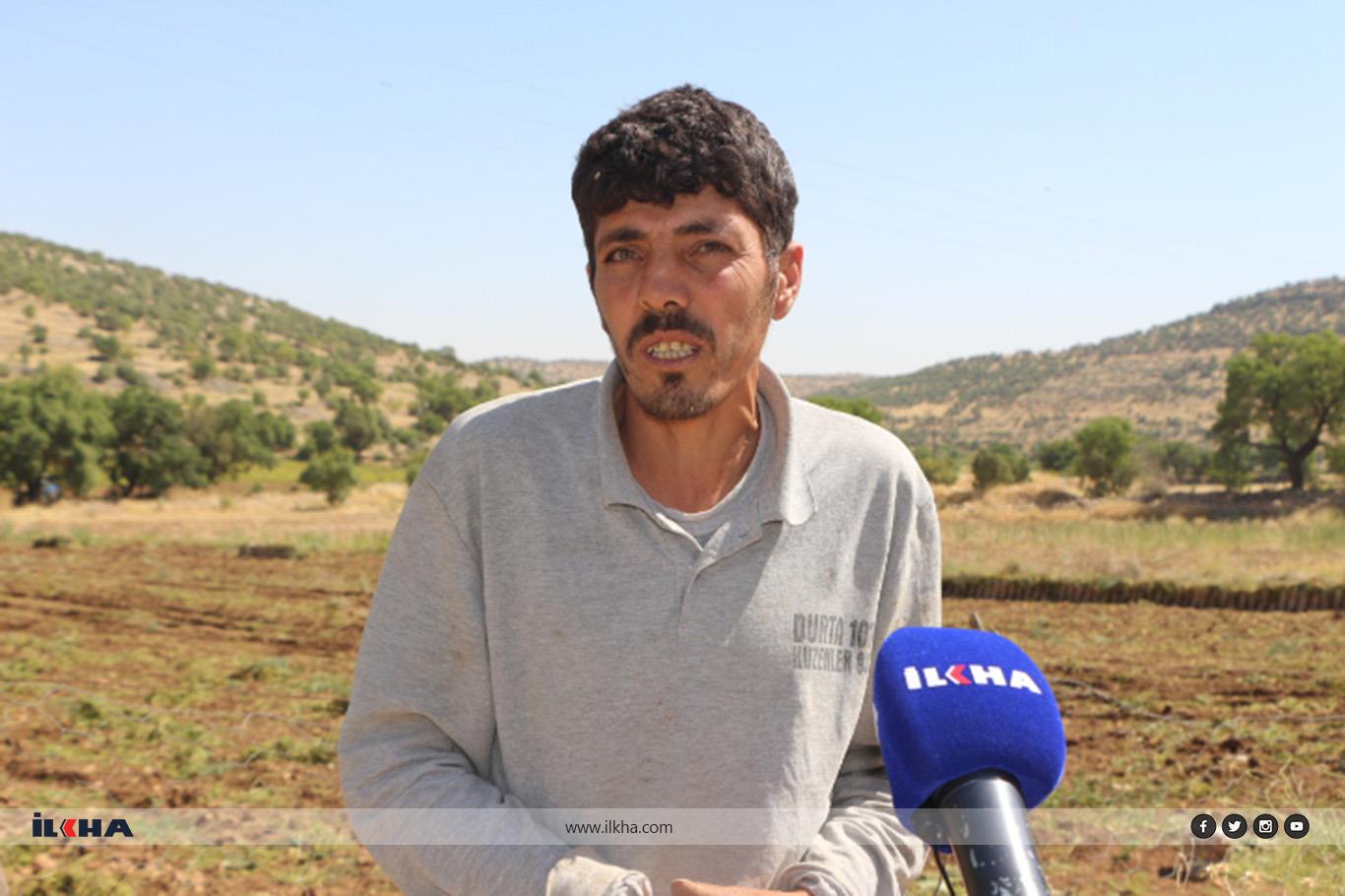 Palehîya kartolan dest pê kir Palehîya kartolan dest pê kir