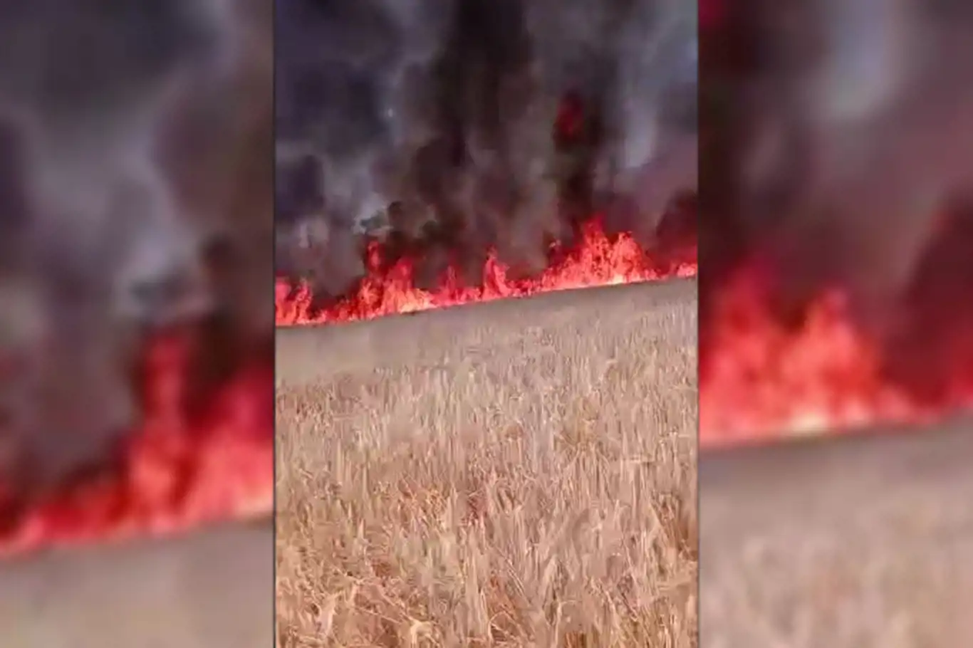Aynı bölgede bir gün arayla ikinci yangın: Ekili tarlalar küle döndü Aynı bölgede bir gün arayla ikinci yangın: Ekili tarlalar küle döndü