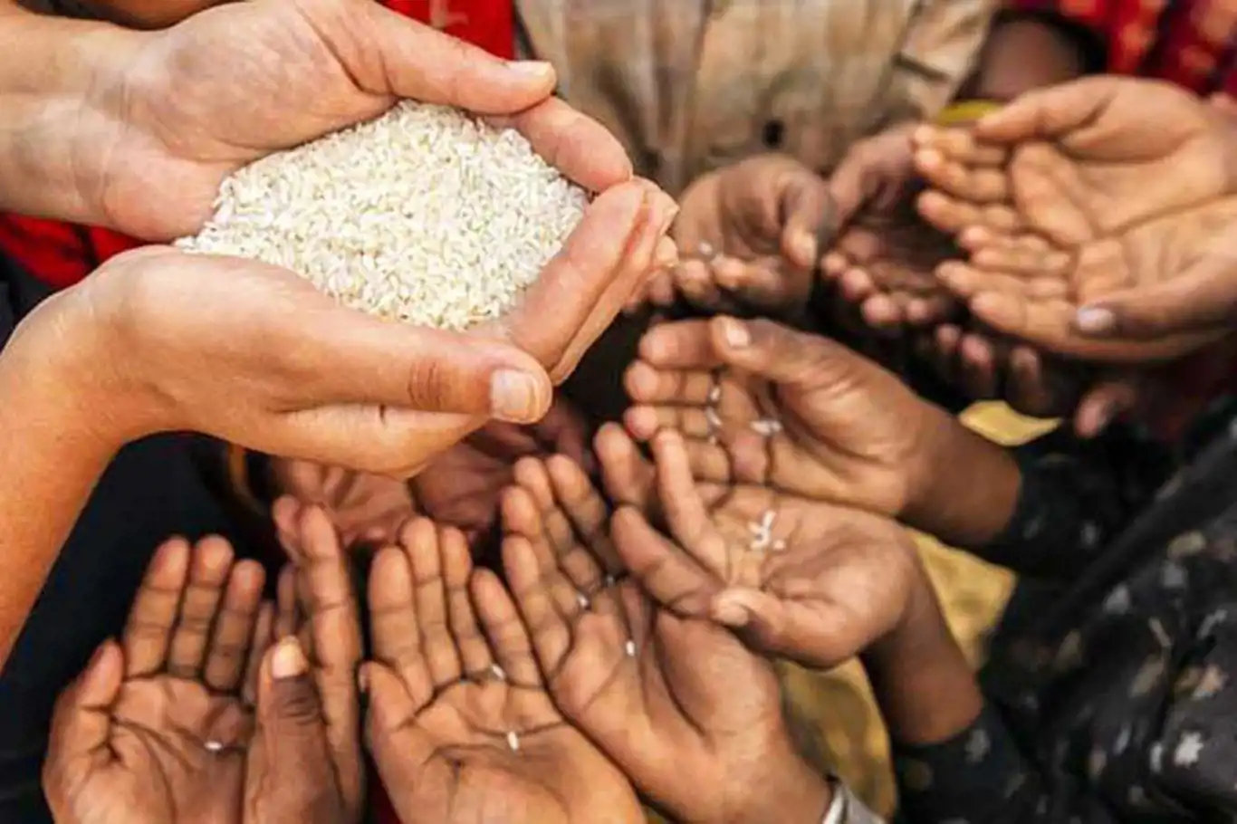 FAO: Dünyada 745 milyon insan aç FAO: Dünyada 745 milyon insan aç