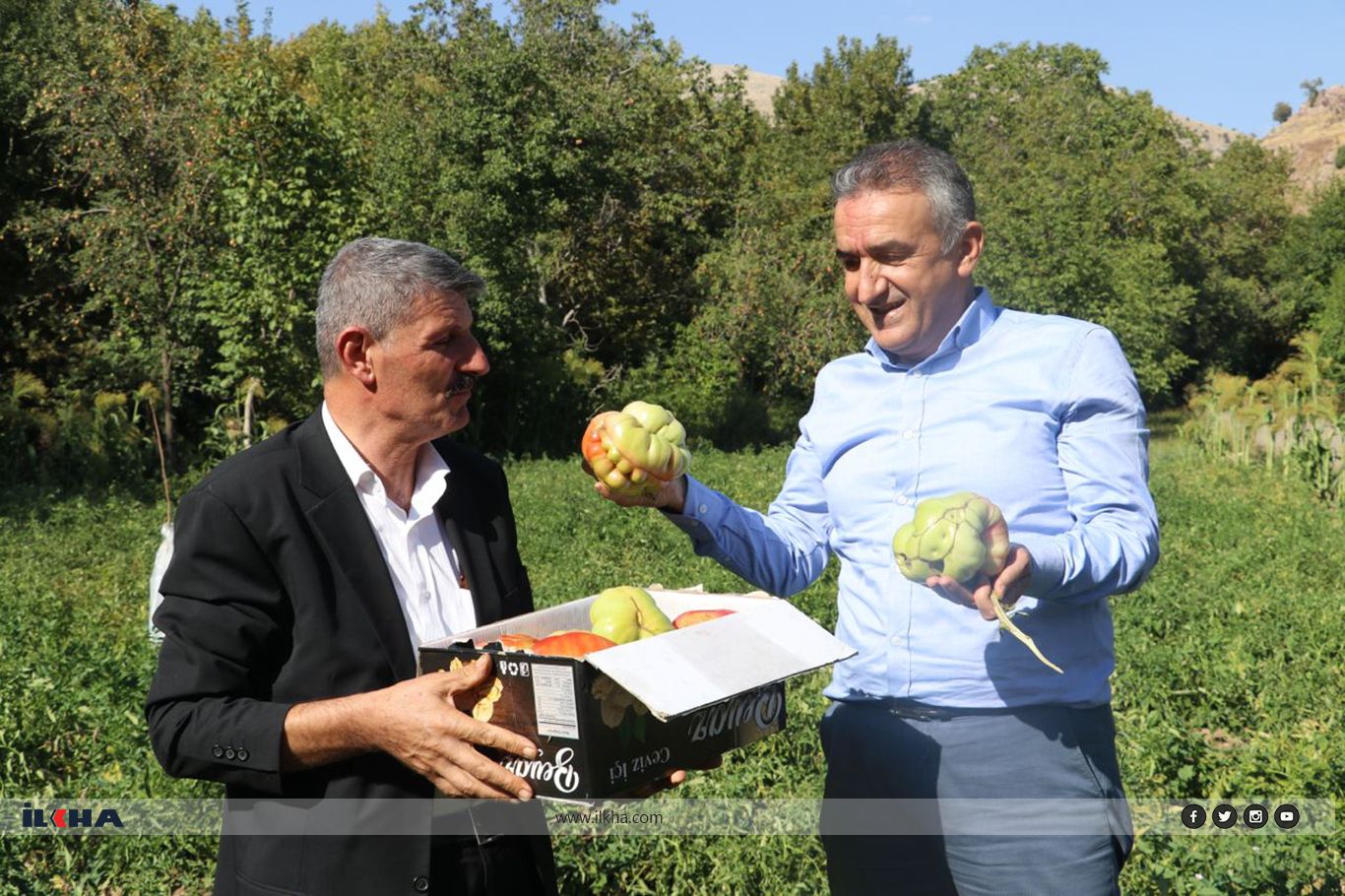 Bacanên sor bi giranbûn û mezinbûna xwe balan dikşînin li ser xwe