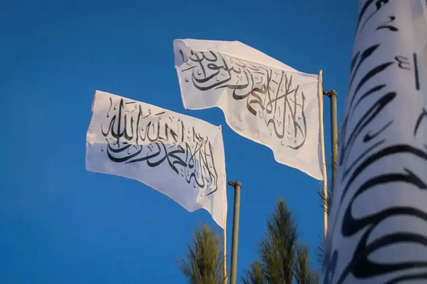 Afghanistan welcomes Saudi decision to reopen embassy in Kabul Afghanistan welcomes Saudi decision to reopen embassy in Kabul