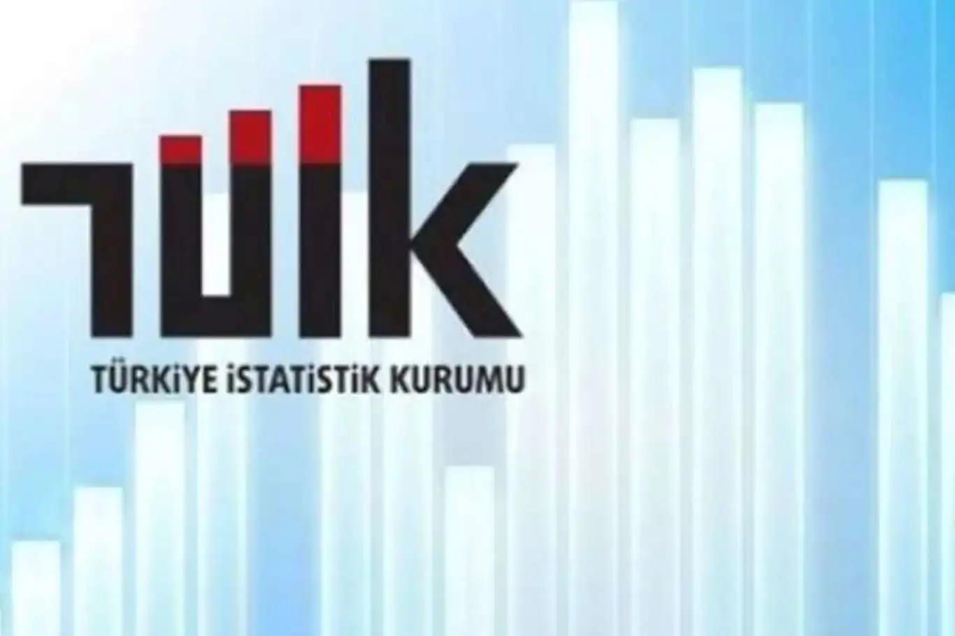 TÜİK 2023 girişim istatistiklerini açıkladı TÜİK 2023 girişim istatistiklerini açıkladı