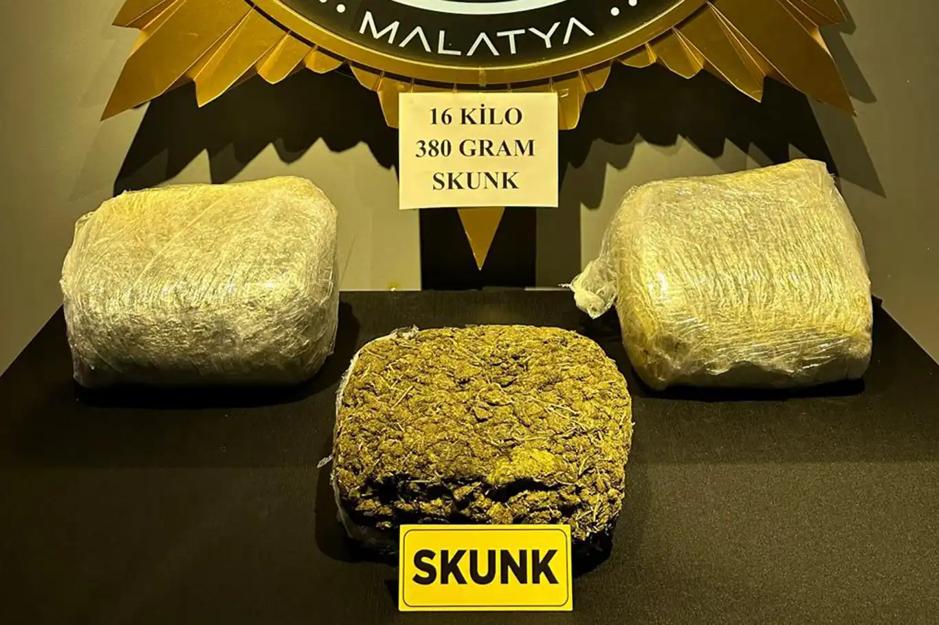 Malatya'da 16 kilogram 380 gram skunk ele geçirildi: 3 tutuklama Malatya'da 16 kilogram 380 gram skunk ele geçirildi: 3 tutuklama