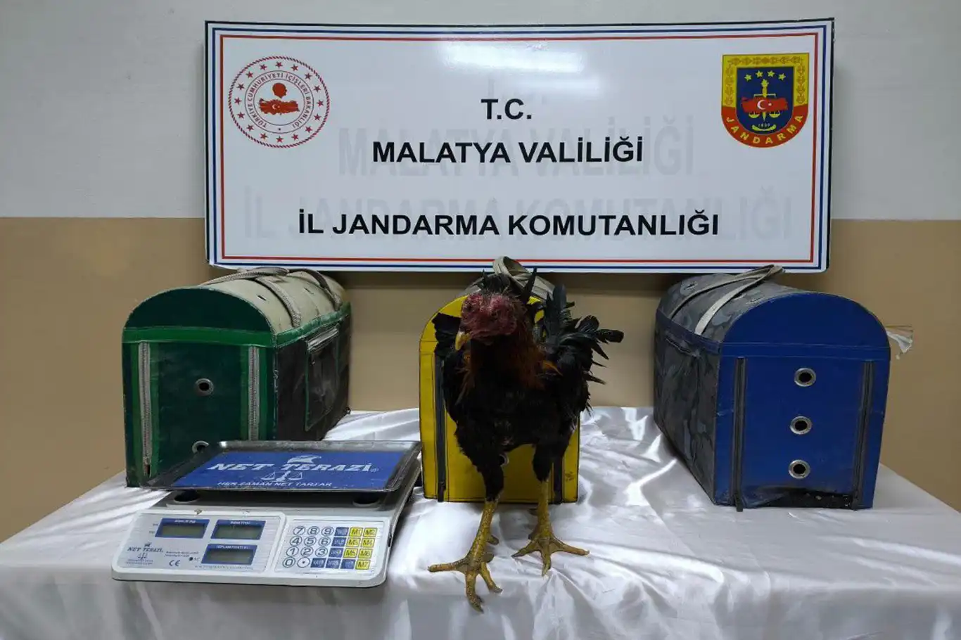 Malatya'da horoz dövüştürenlere para cezası verildi Malatya'da horoz dövüştürenlere para cezası verildi
