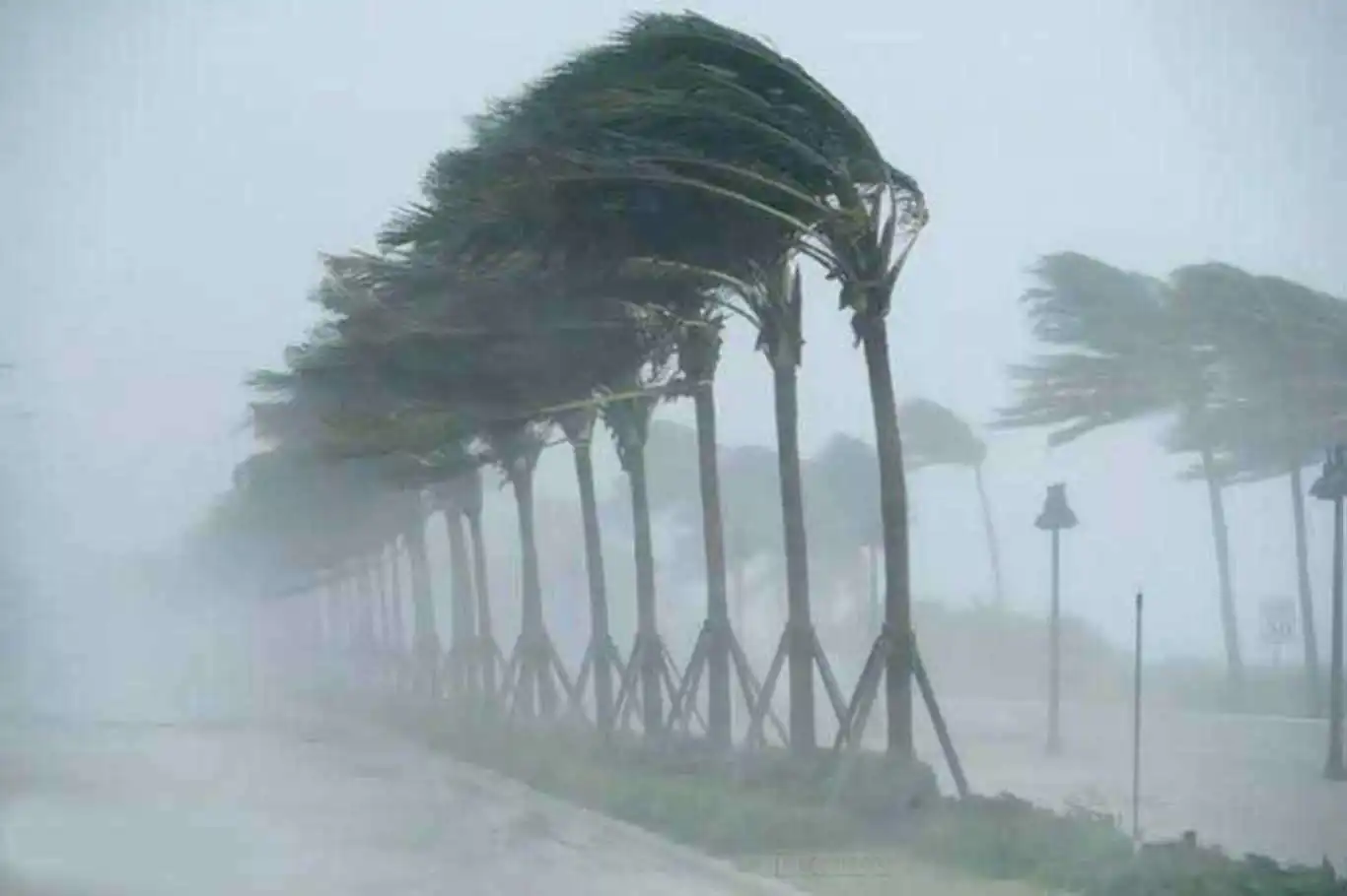 Meteoroloji'den 6 il için lodos ve sağanak uyarısı Meteoroloji'den 6 il için lodos ve sağanak uyarısı