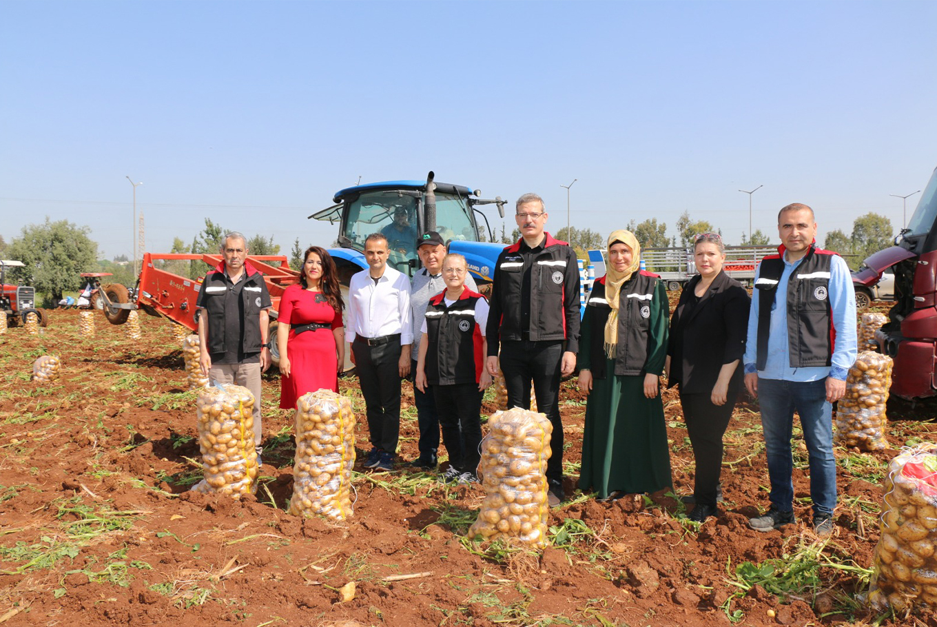 Adana'da patates hasadı başladı