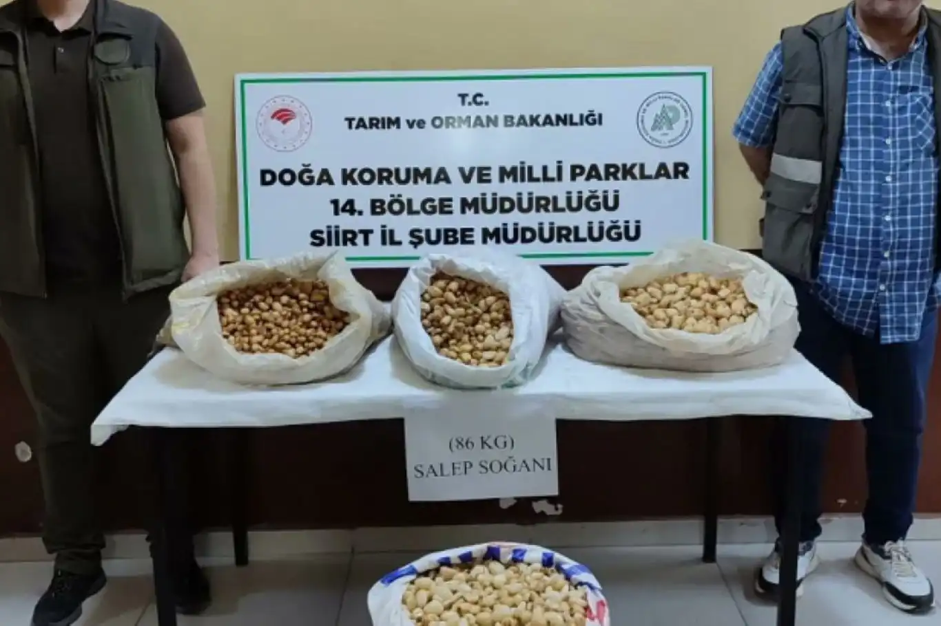 Siirt'te izinsiz salep soğanı toplayan kişiye 387 bin TL ceza kesildi Siirt'te izinsiz salep soğanı toplayan kişiye 387 bin TL ceza kesildi