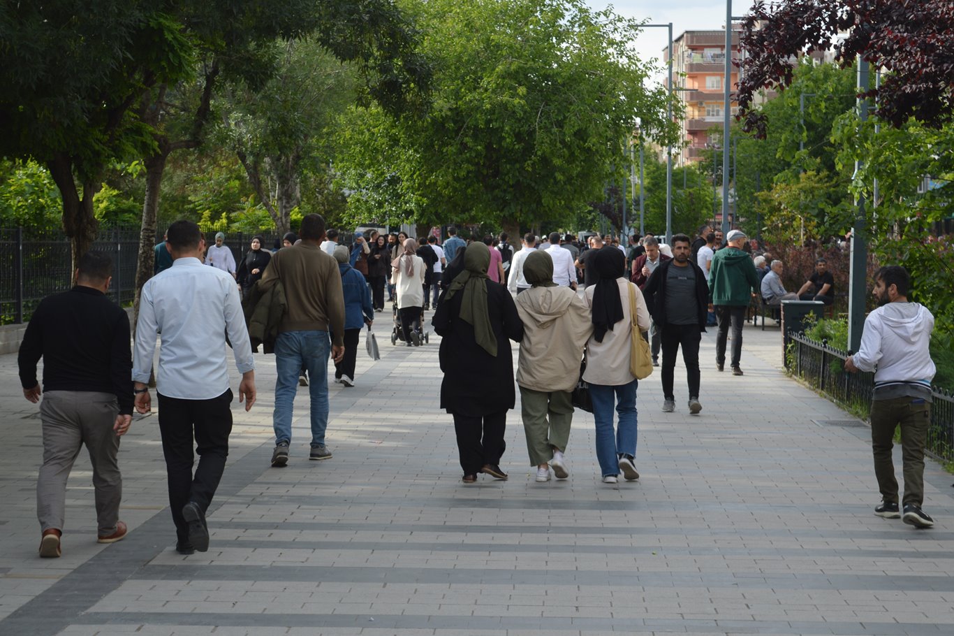 Siirt halkı, başıboş köpekler için çözüm bekliyor