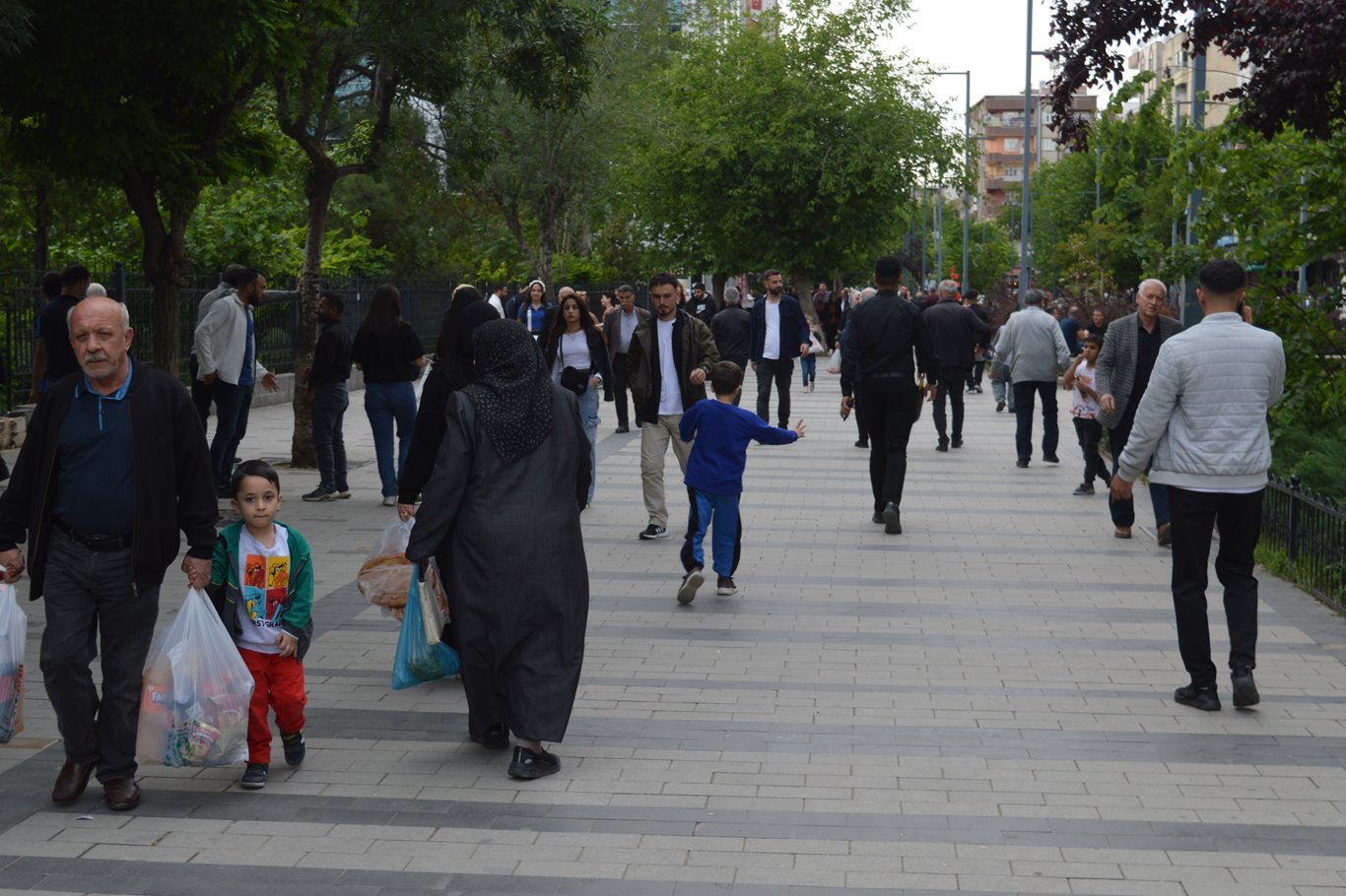 Siirt halkı, başıboş köpekler için çözüm bekliyor