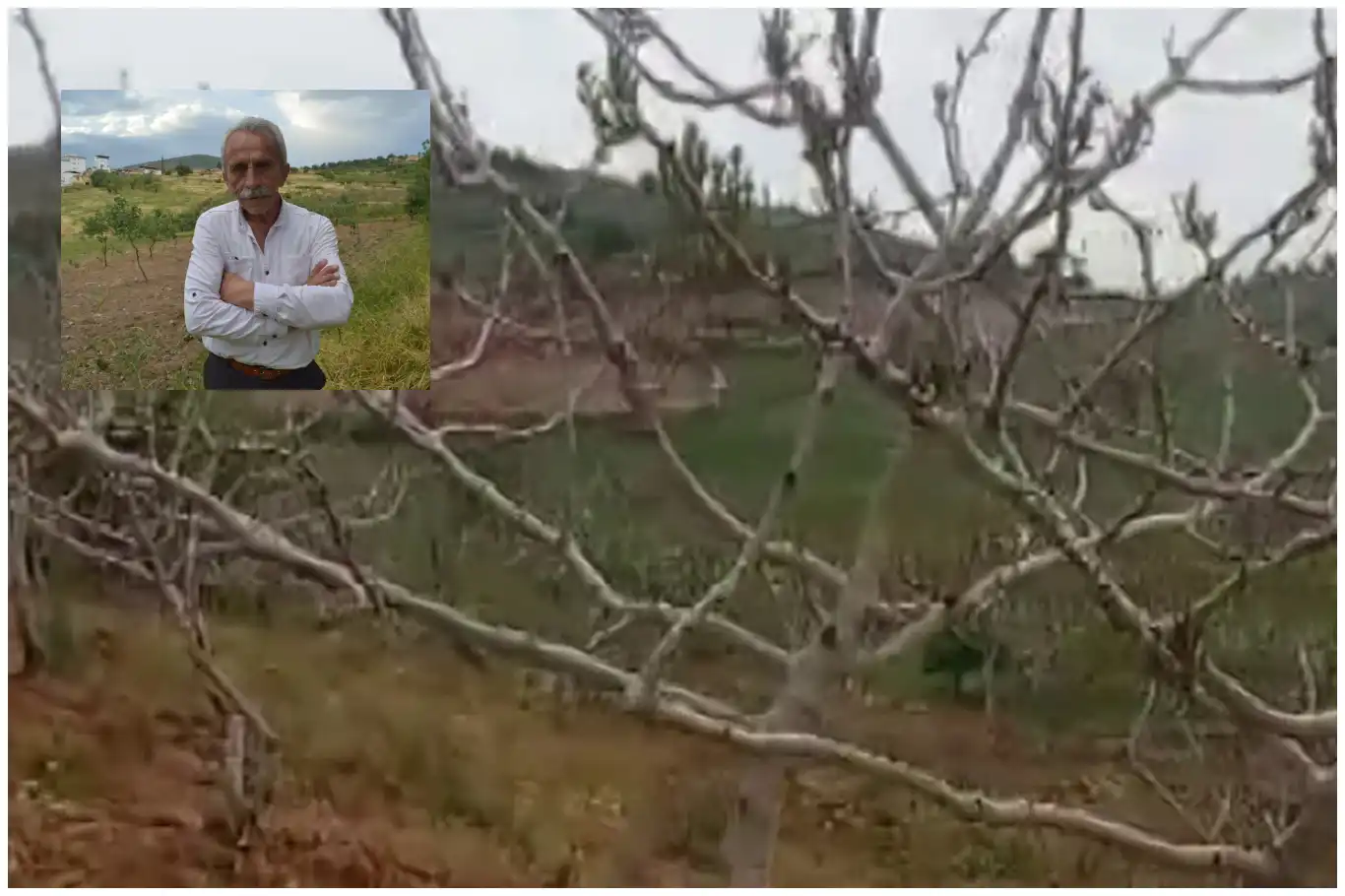 Dolu sonrası bahçesinde oluşan zararı ve yaşadığı üzüntüyü videoda anlattı Dolu sonrası bahçesinde oluşan zararı ve yaşadığı üzüntüyü videoda anlattı