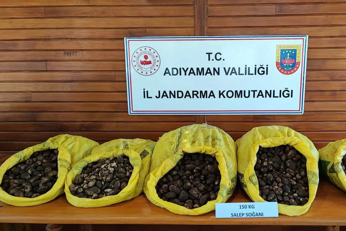 Salep soğanı toplayan şahıslara rekor para cezası Salep soğanı toplayan şahıslara rekor para cezası