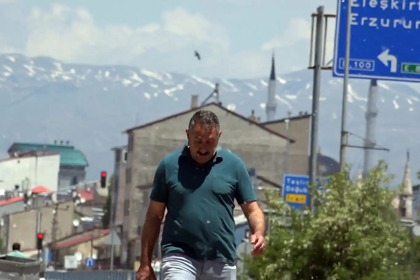 Polenler hayatı olumsuz etkiliyor Polenler hayatı olumsuz etkiliyor