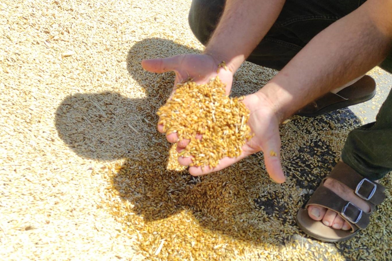 Altyapı yetersizliği hububatçı esnafını büyük zarara uğrattı