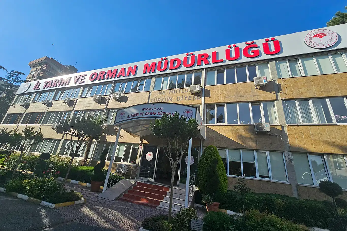Kurbanlık seçimi ve kesiminde nelere dikkat edilmeli? Kurbanlık seçimi ve kesiminde nelere dikkat edilmeli?