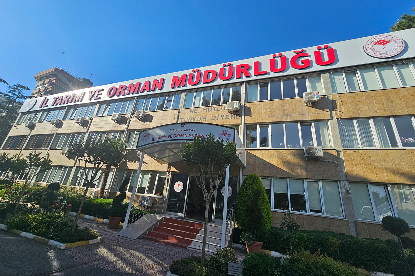 Kurbanlık seçimi ve kesiminde nelere dikkat edilmeli?