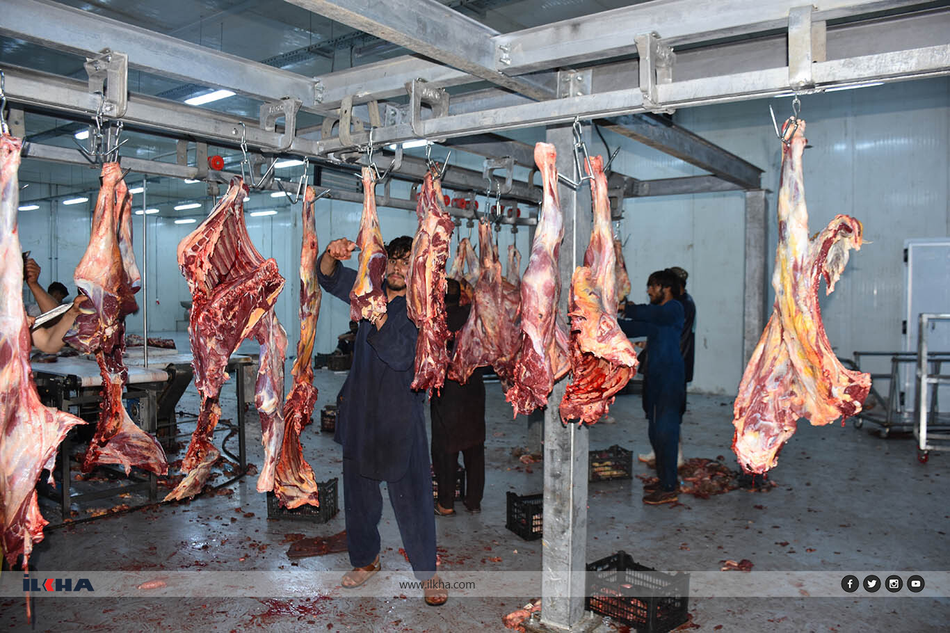 Hope Caravan Foundation delivers sacrificial meat to needy Afghans during Eid al-Adha Hope Caravan Foundation delivers sacrificial meat to needy Afghans during Eid al-Adha