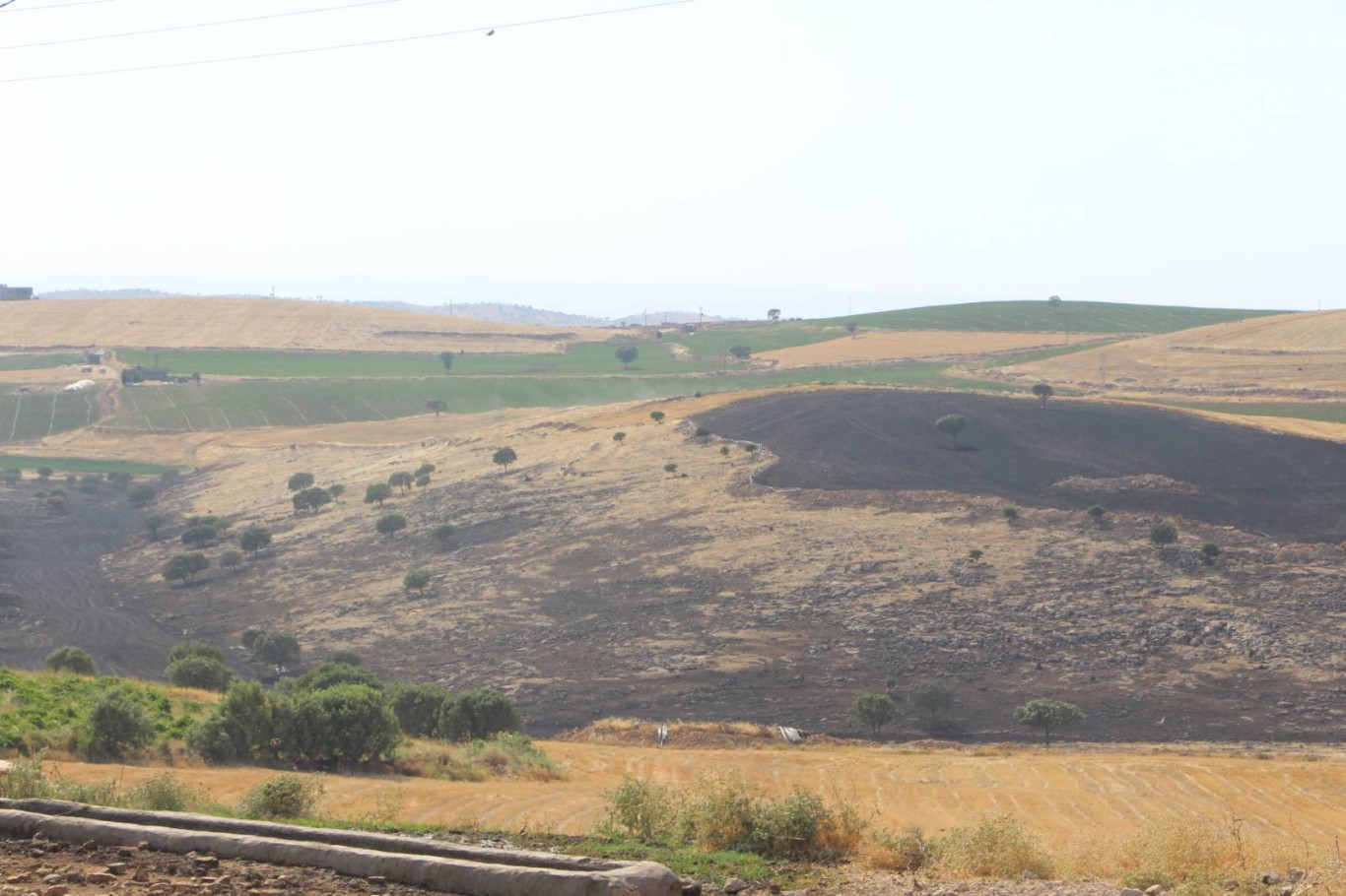 HÜDA PAR Genel Sekreteri ve Gaziantep Milletvekili Şehzade Demir, yangından etkilenen köyleri ziyaret etti.