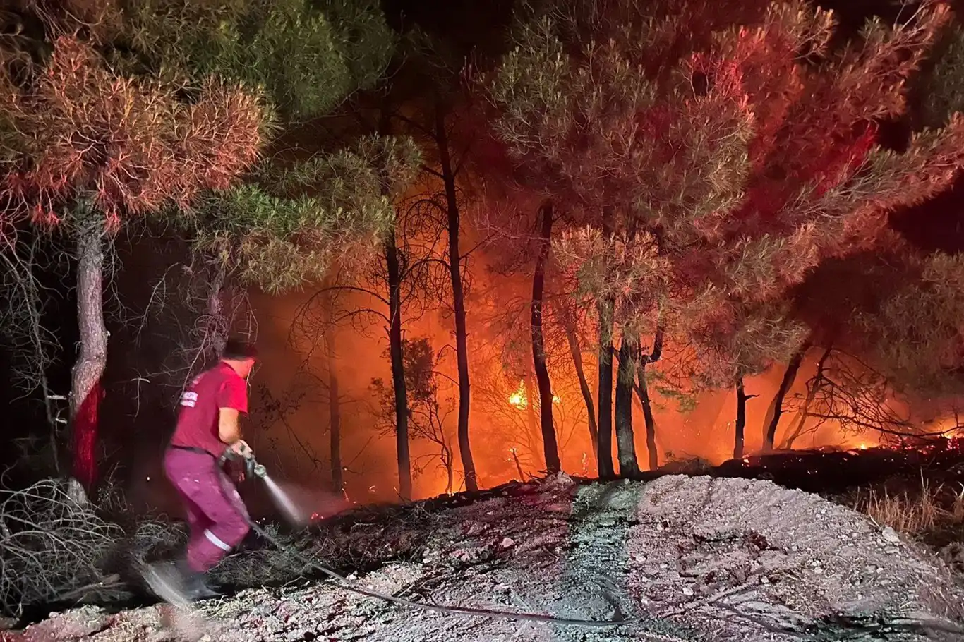 Siirt Valiliği’nden ormanlık alanlara giriş yasağı Siirt Valiliği’nden ormanlık alanlara giriş yasağı