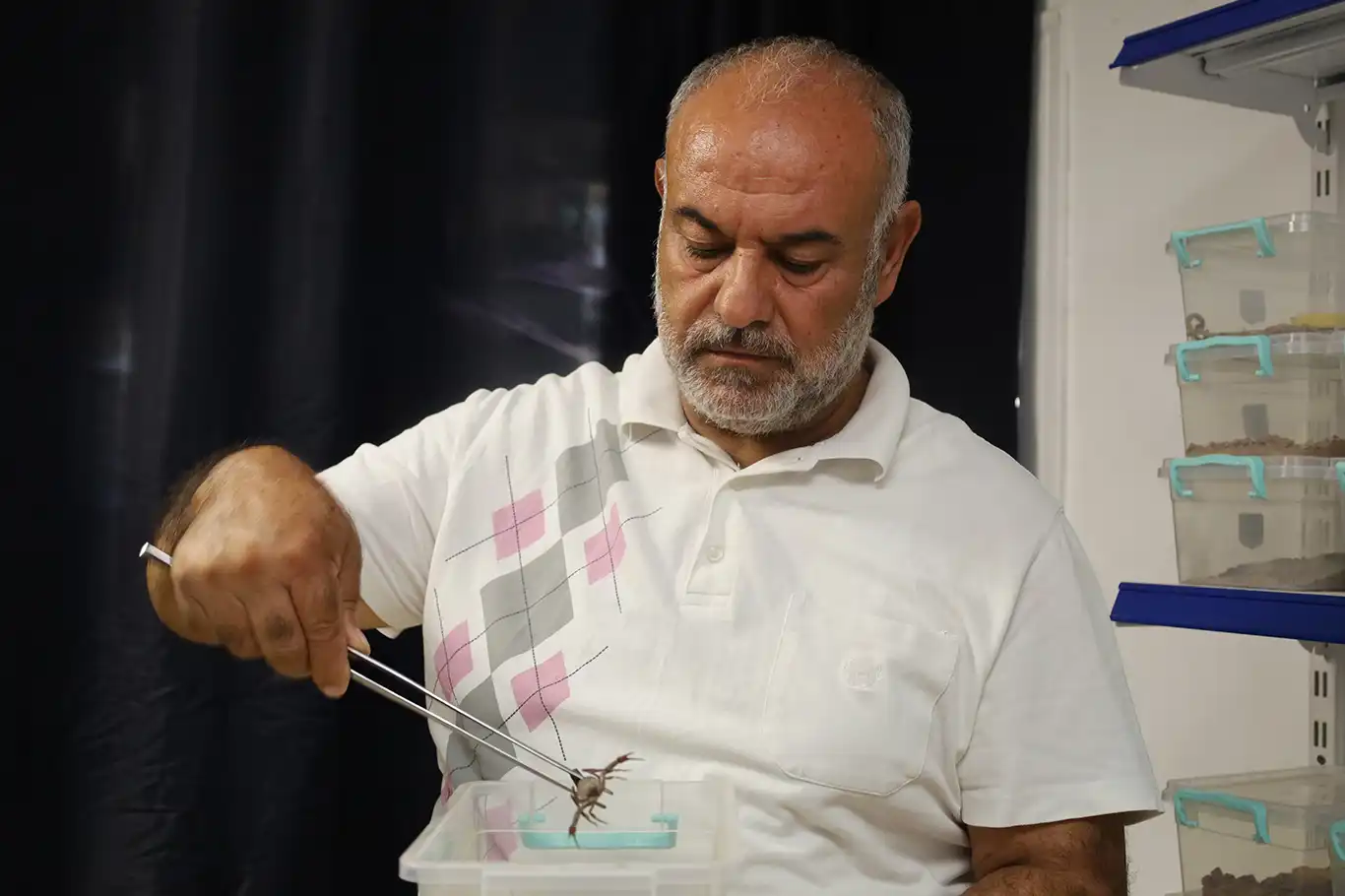 Örenler: Akrep üretimi tamamen yasal izinler alınarak yapılan bir iştir Örenler: Akrep üretimi tamamen yasal izinler alınarak yapılan bir iştir
