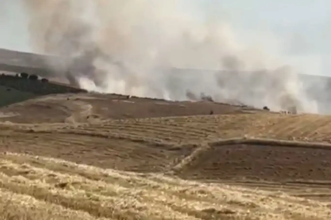 Diyarbakır'da 50 dönüm ekili alan yandı