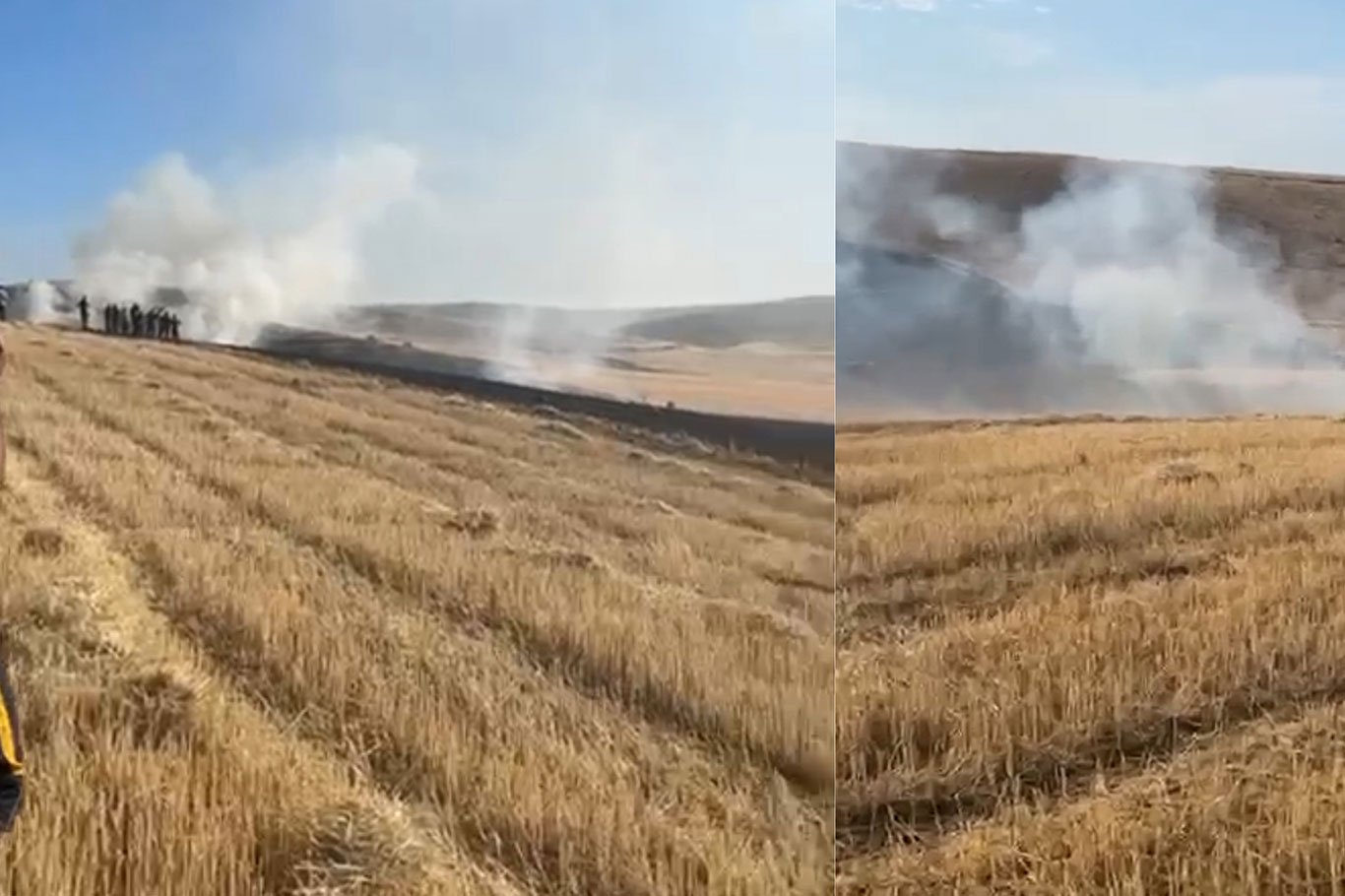 Diyarbakır'da 50 dönüm ekili alan yandı