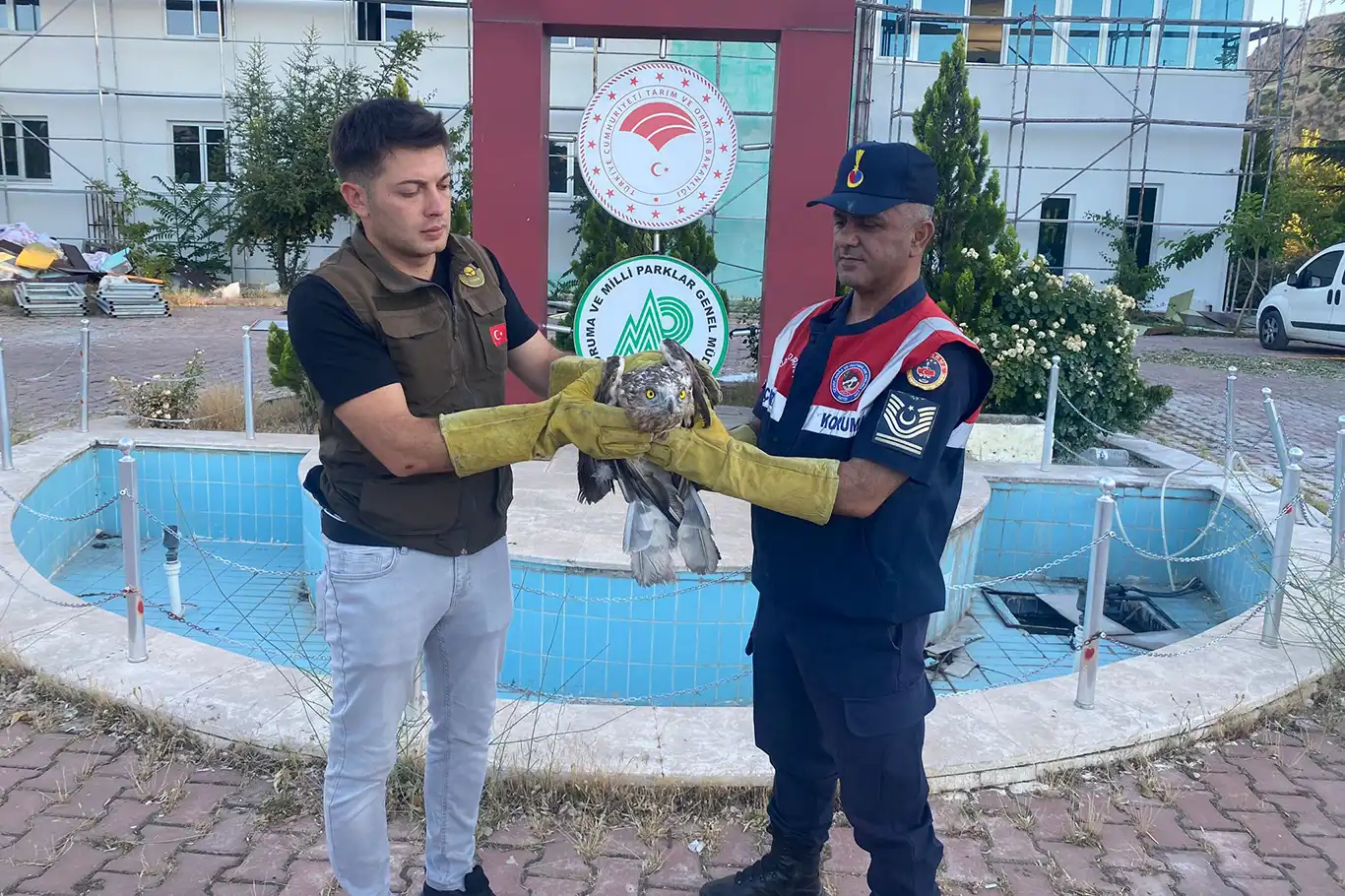 Yaralı halde bulunan şahin tedavi altına alındı Yaralı halde bulunan şahin tedavi altına alındı