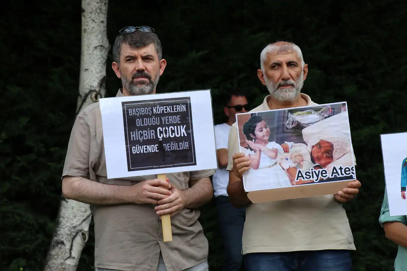 TBMM'ye "Sokakta sıfır başıboş köpek politikası" talebi TBMM'ye "Sokakta sıfır başıboş köpek politikası" talebi