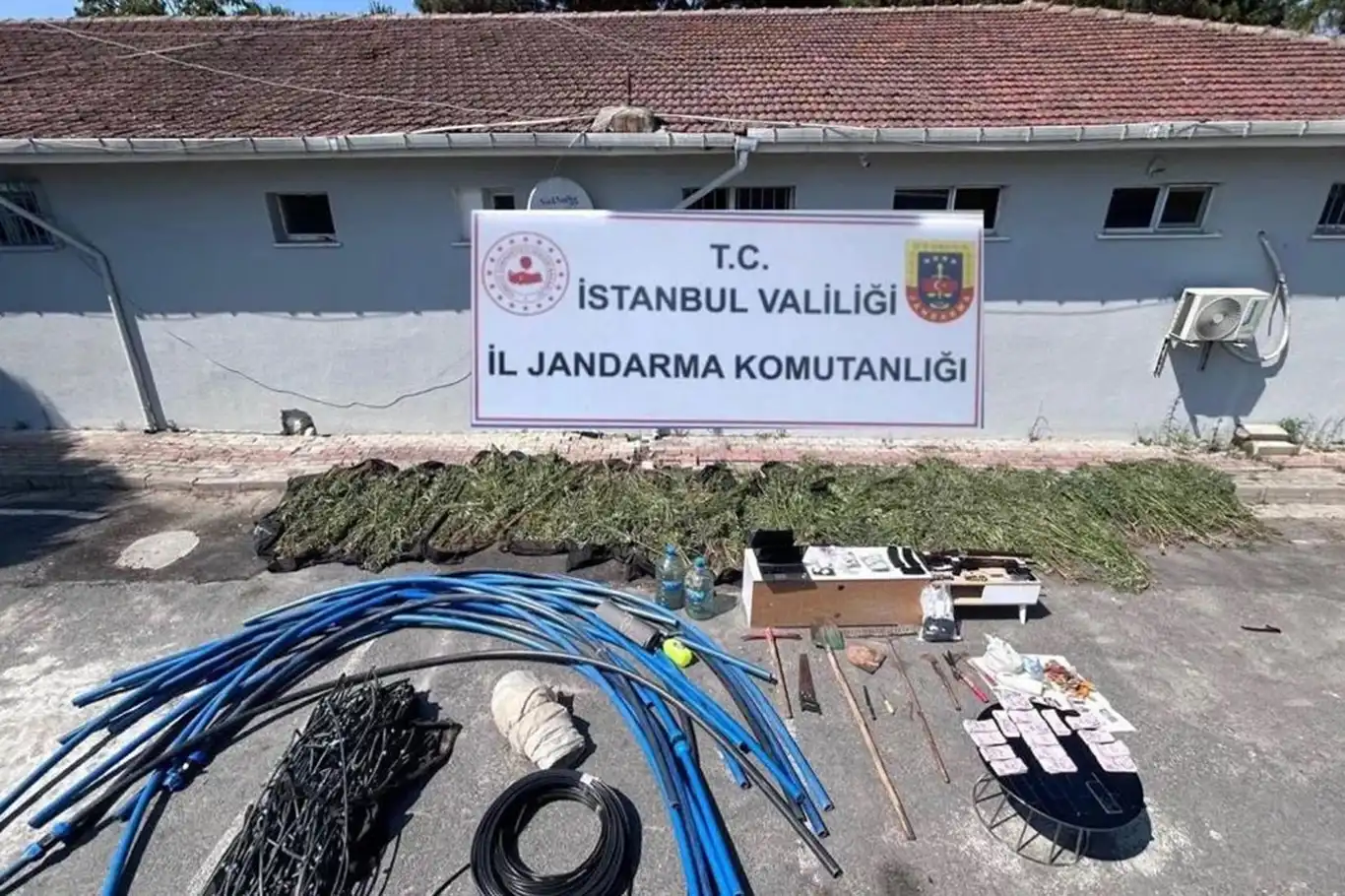 İstanbul'da 2 bin 120 kök kenevir ele geçirildi: 6 gözaltı İstanbul'da 2 bin 120 kök kenevir ele geçirildi: 6 gözaltı