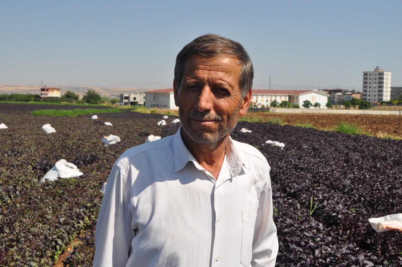 Eşref Savaş 