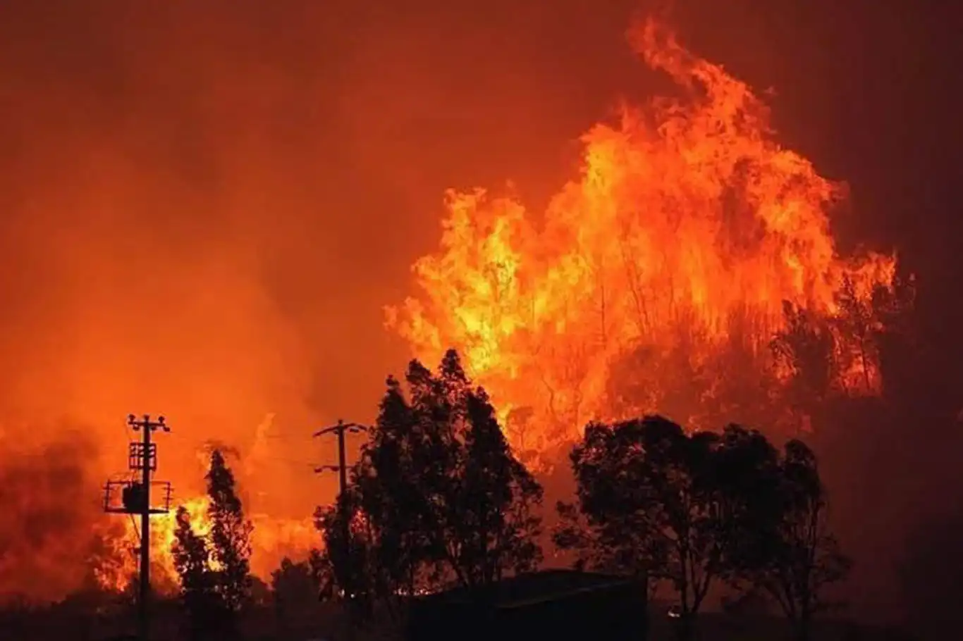 Forest fires in Izmir brought under control, authorities report Forest fires in Izmir brought under control, authorities report